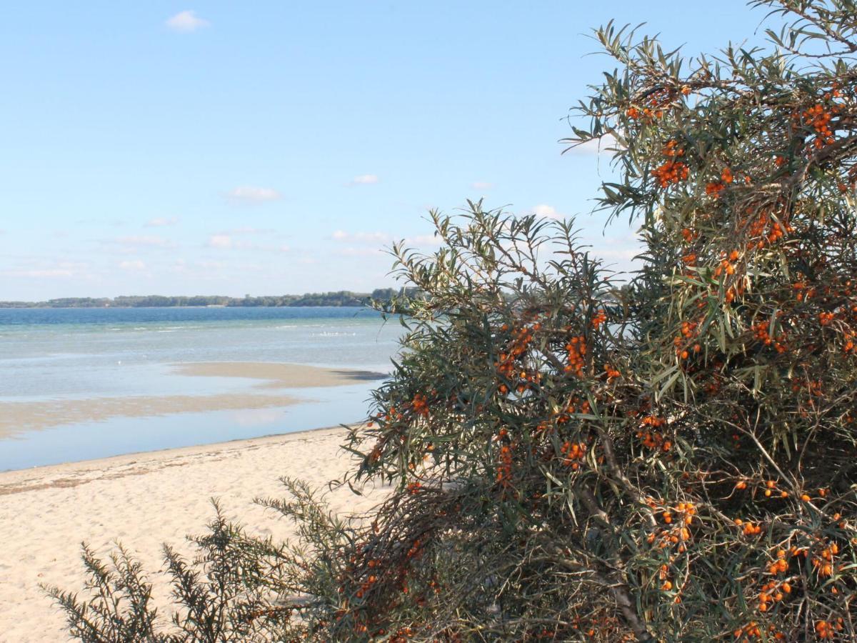Attractive Apartment In Kluetz Near The Sea Клюц Екстер'єр фото